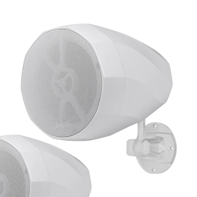 30w 5.25 Inch White Wall Mounted Speakers For Classroom/shop