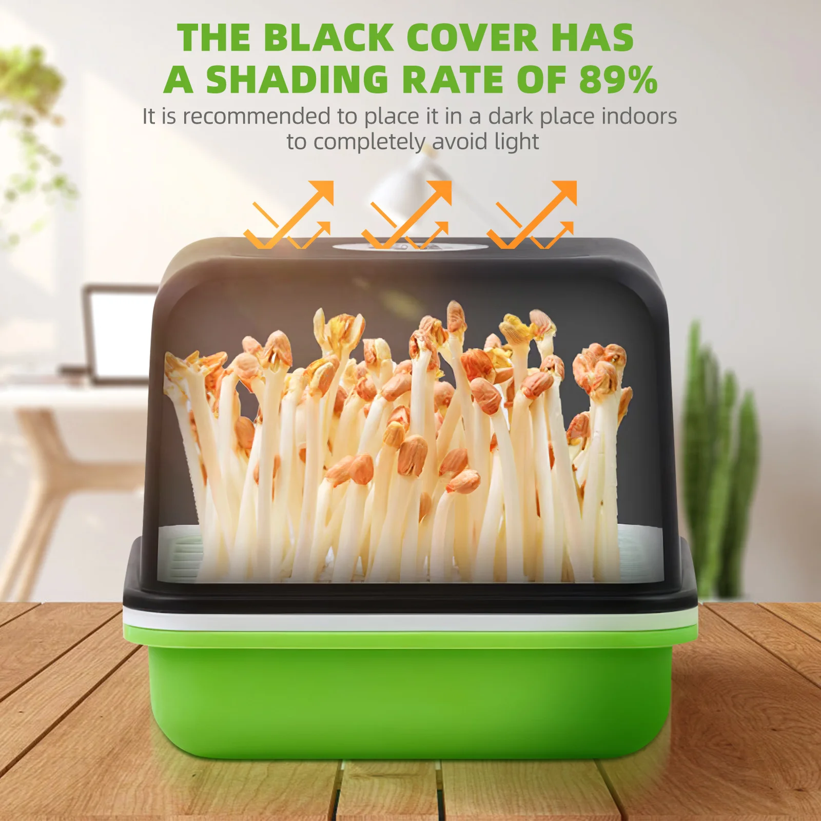 صينية البستنة 1 مجموعة تنبت أقل من التربة لحضانة النباتات الدفيئة صندوق النمو مجموعة أدوات نشر أواني الطريق #1