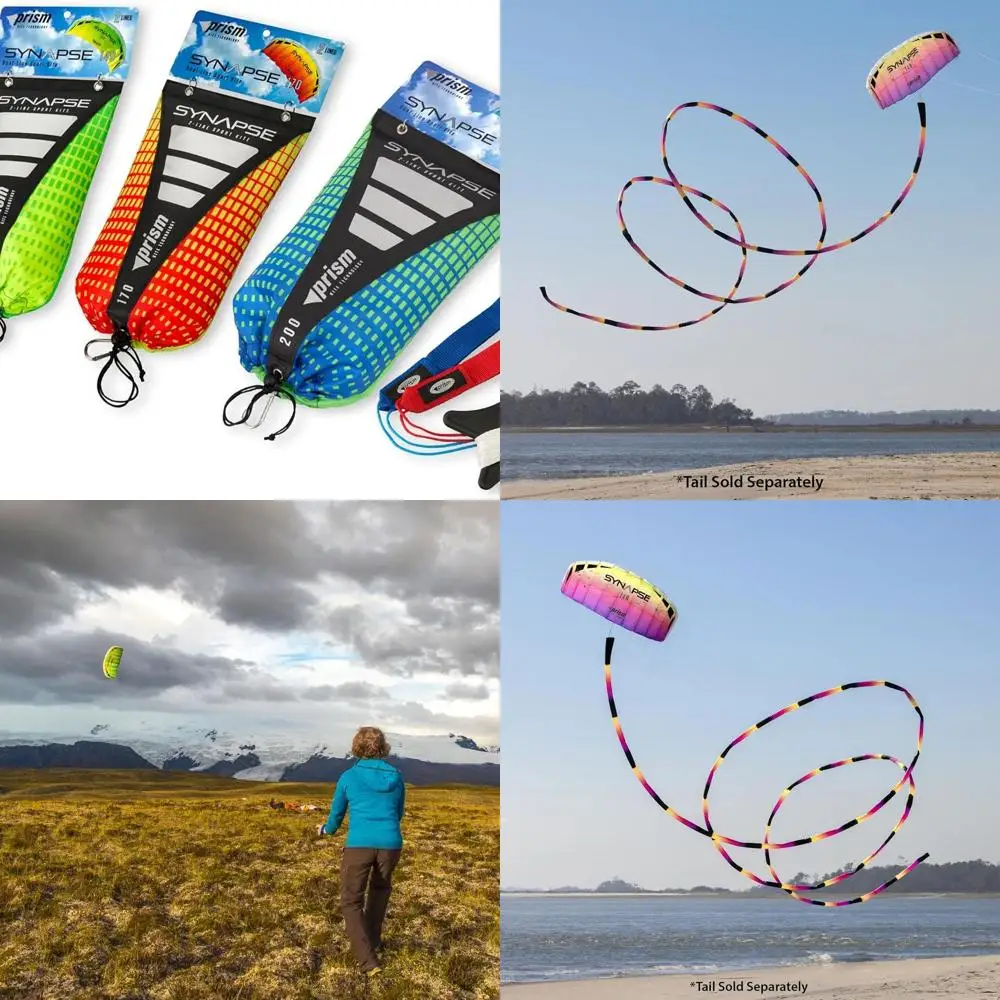 

Двухлинейный змей-парафойл Synapse 140 — идеальный воздушный змей начального уровня для детей и взрослых для двухлинейного кухни, плазменный змей