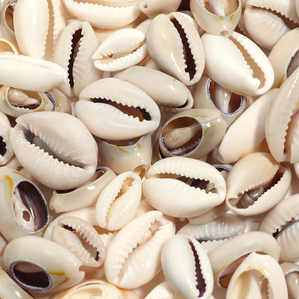 40g Natural Sea Shell Beads Oval Spiral Conch Loose Spacer Beads For DIY Jewelry Making Necklace Bracelets Phone Chain Supplies image 5