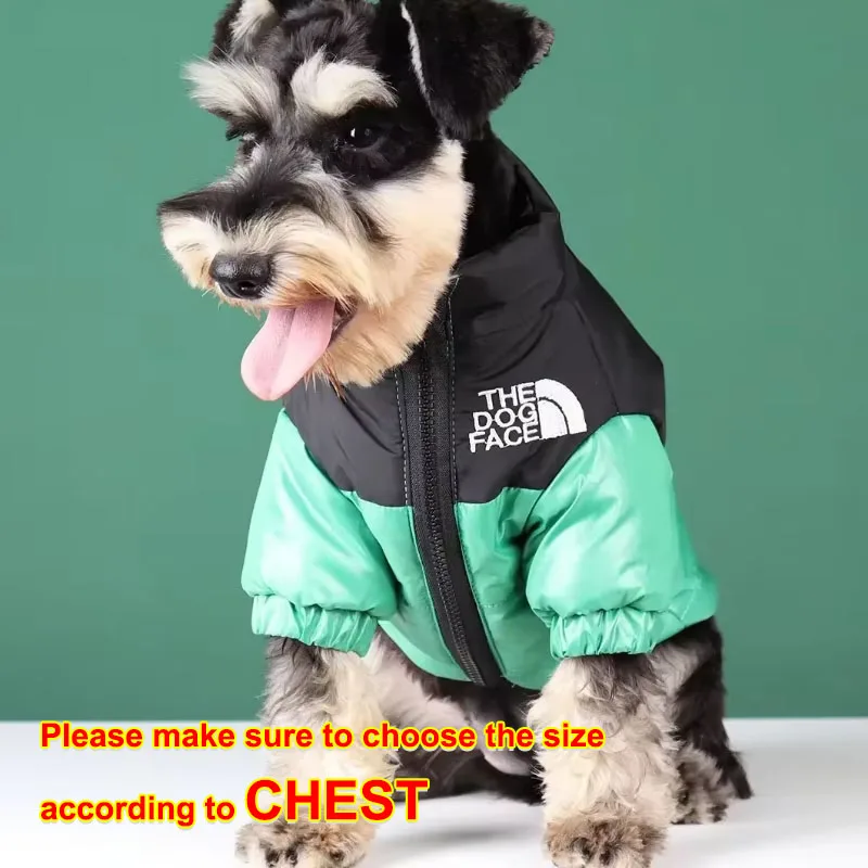 Thumbnail 2 - #75 Cheap Dog Coats Worth Buying