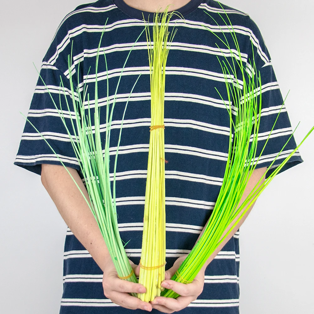 10 Stück/Set Natürliche Straußenfedern 45-50cm Harte Federstiele Hochwertige Federn für DIY-Hutwerk Kopfschmuck Bastelzubehör