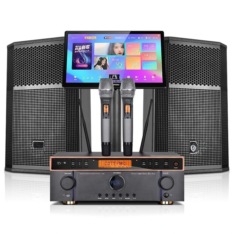 Twelve-inch conference entertainment performance power amplifier jukebox KTV home audio set