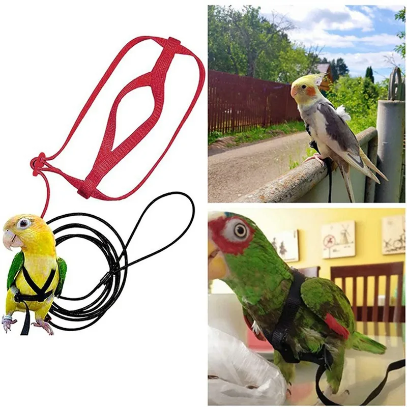Parrot Bird Harness Leash Outdoor Activities Flying Traction Straps Band Flying Rope For Small Parakeets Cockatiels Bird NEW
