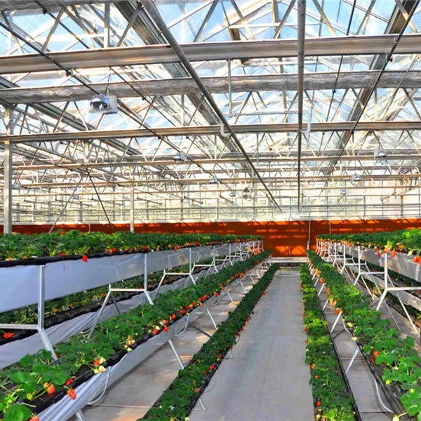 

Customized greenhouseCommercial Large Size Customized Intelligent Hydroponic Greenhouse for Agricultural Vegetable and Flowers a