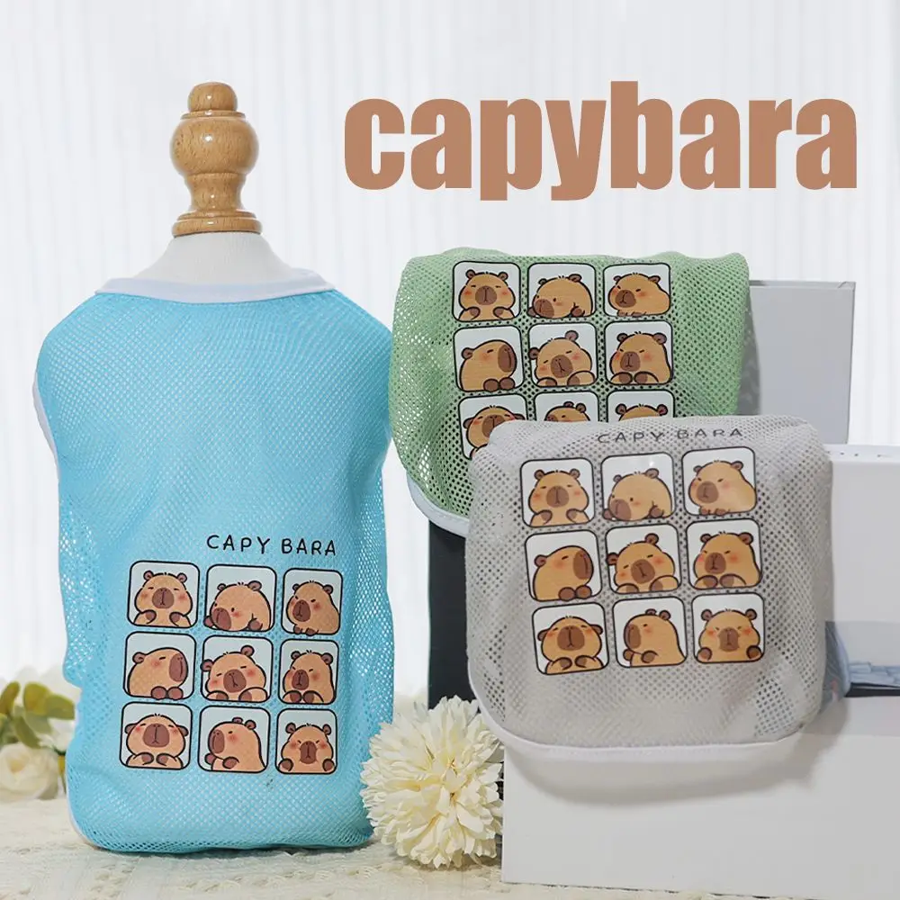 Kapi Katze und Hund Sommer Mesh atmungsaktive Haustier dünne Tank Top Cartoon gedruckt Kleidung Bomei Gold haarig großen Hund