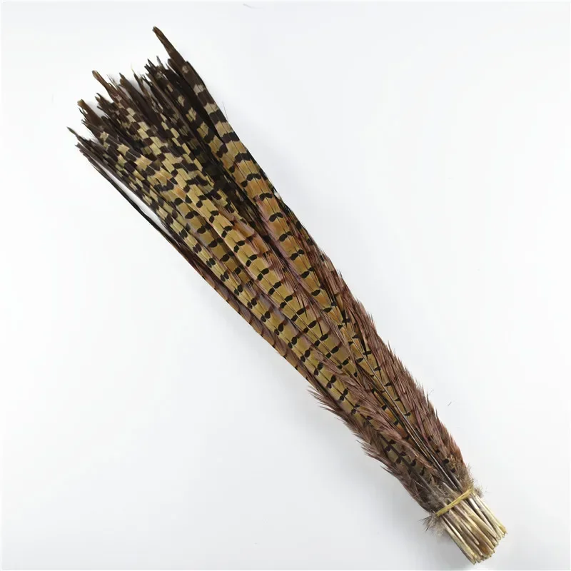 Natural Ringneck Pheasant Feathers for Needlework Crafts on The Head 10-75cm Long Feather Tail Carnival Accessories Decoration