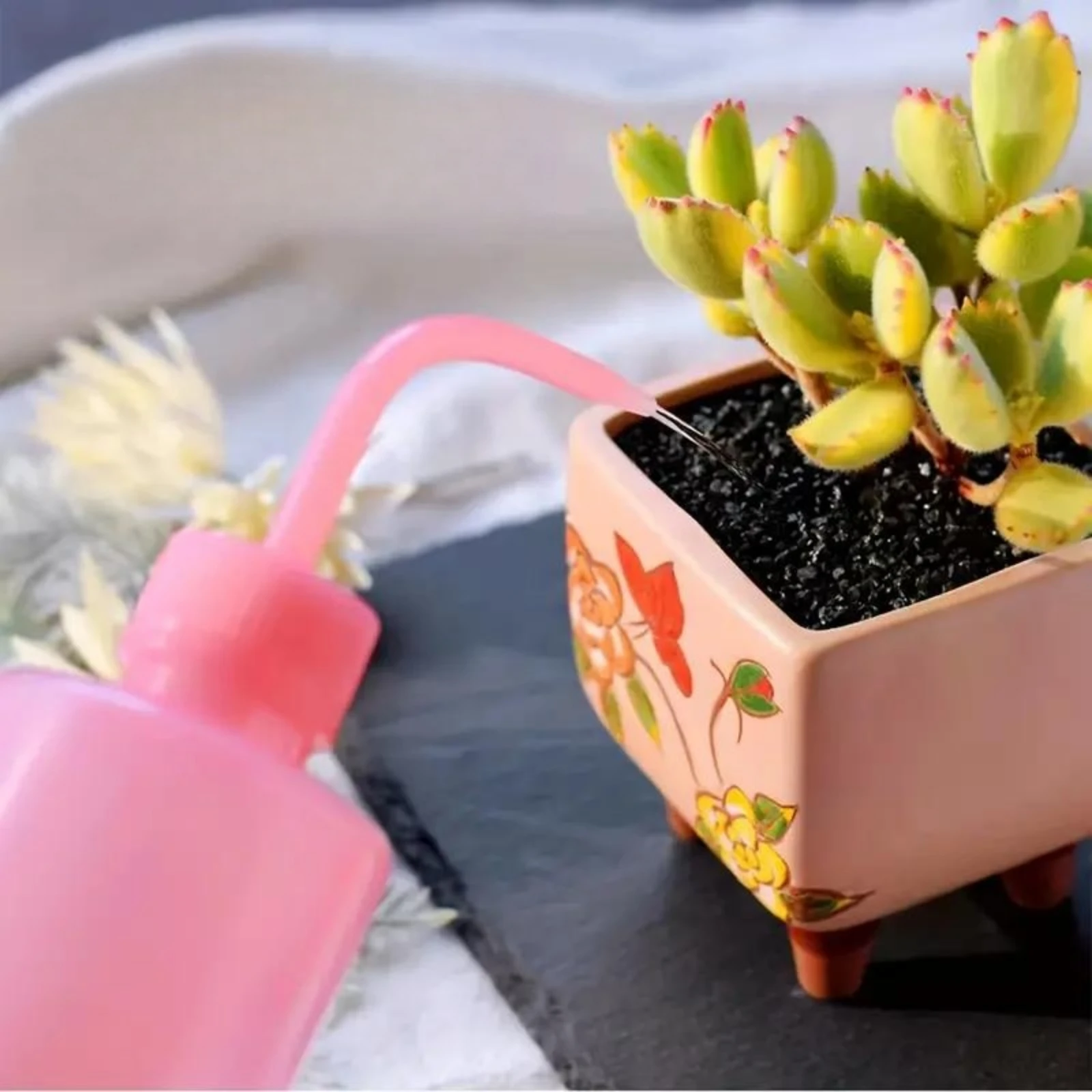 물 스프레이 병 150/250/500ml 식물 꽃 물을 - Gardening Tools For Beginners 리뷰 및 가격