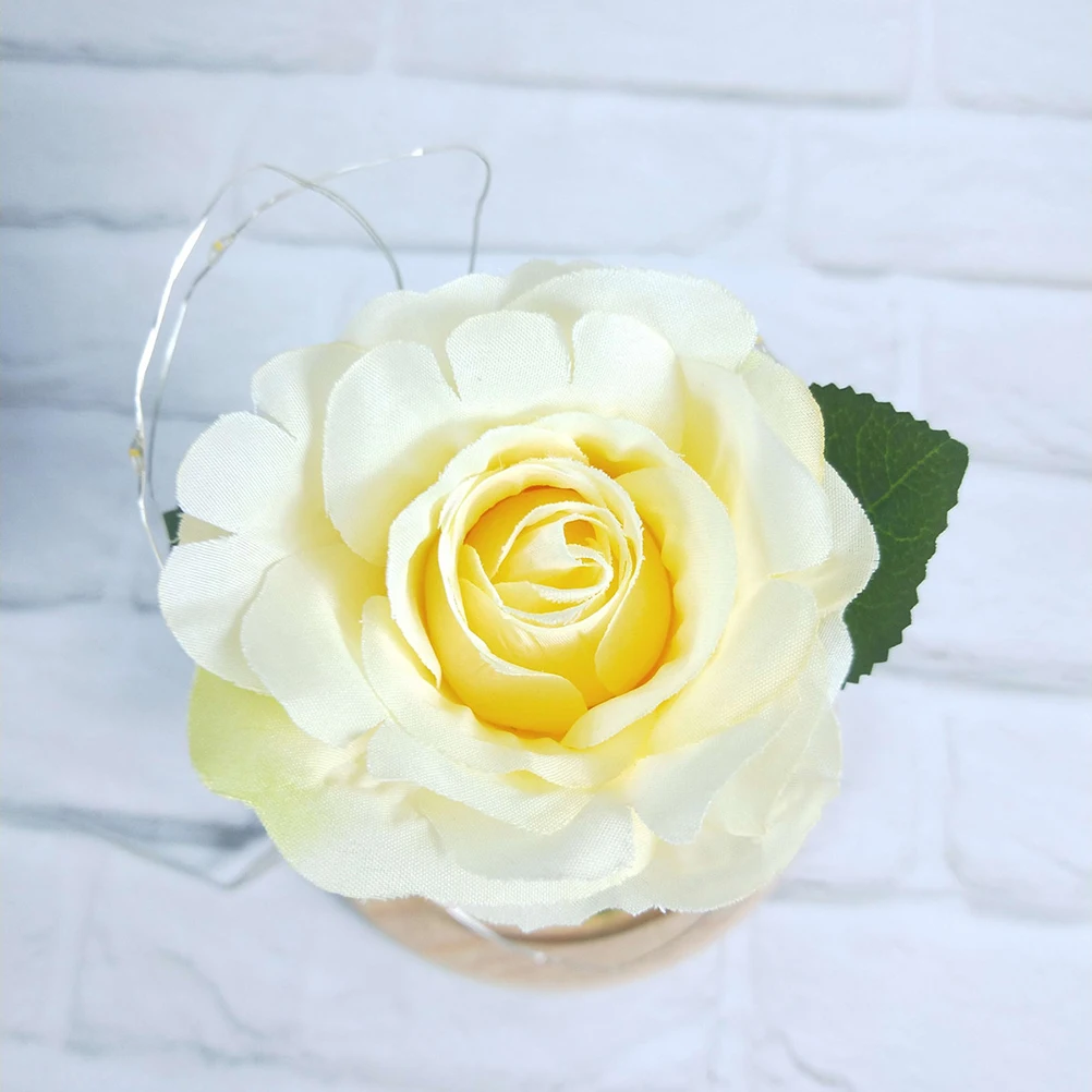 

Dome Glass Preserved Rose Romantic Flower Light USB LED String Lights for Home Decoration Valentine Wedding Gift