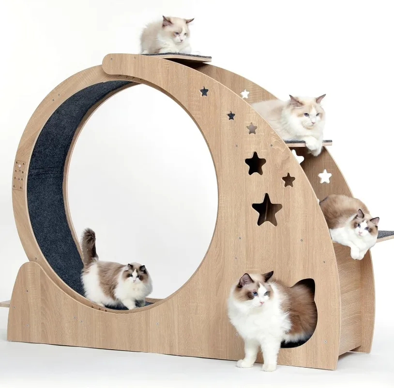 

5-in-1 Cat Wheel,Cat Exercise Wheel,41.3" High Large Cat Wheels for Indoor Cats,Cat Treadmill,Cat Running Wheel for Indoor Cats