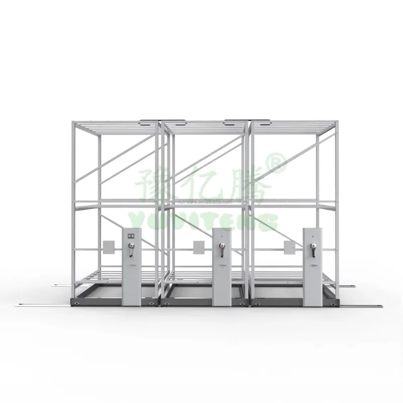 

Hydroponic Greenhouse Indoor Plant Grow Rack Double Deck Shelves Commercial Vertical Racks For Lettuce Growing