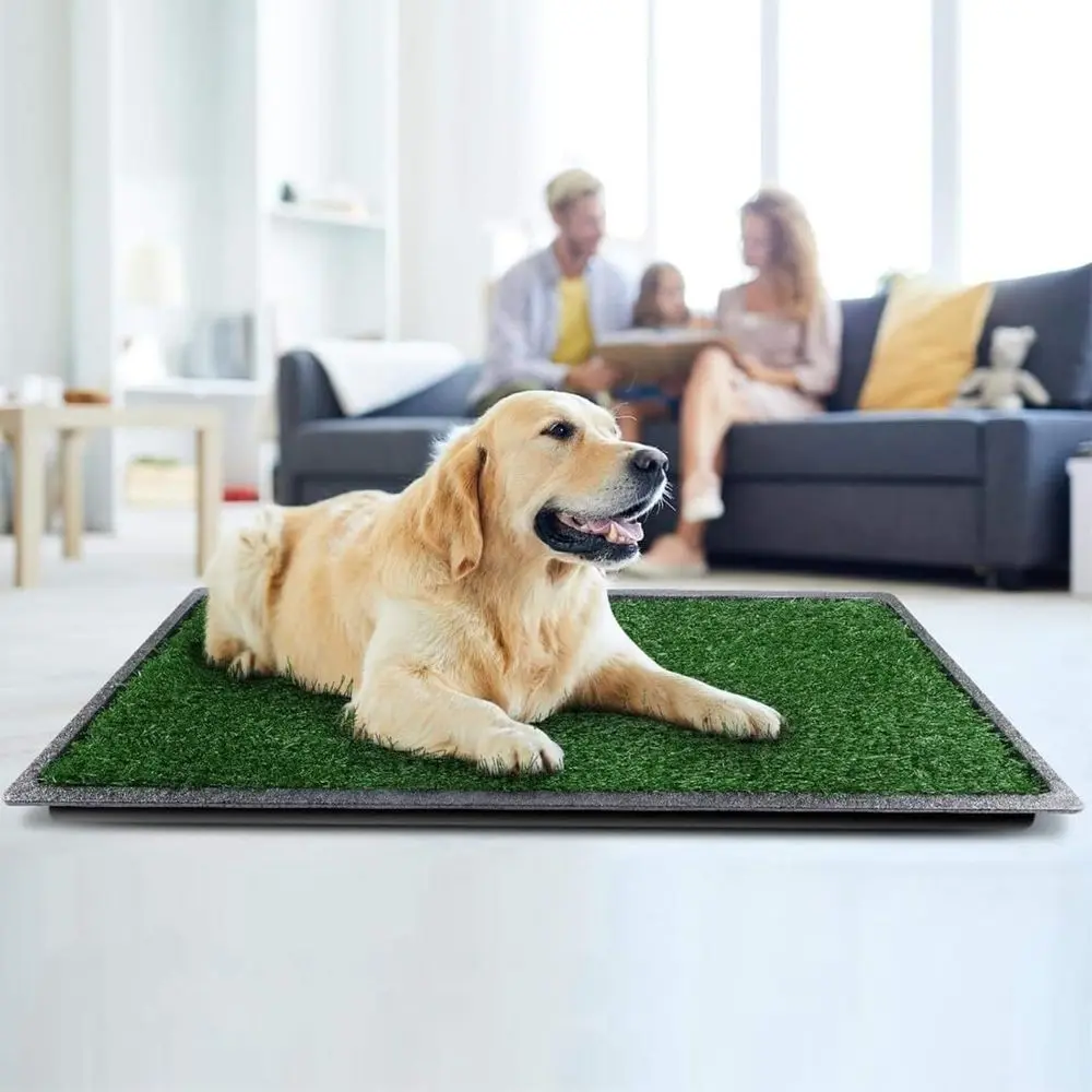 

Portable Pet Toilet with Washable Artificial Grass Pads, Indoor/Outdoor Use