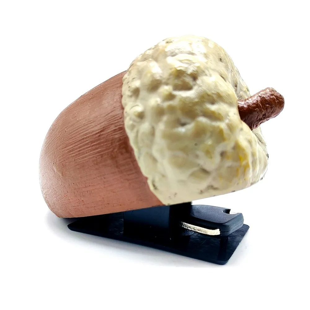 Creative Resin 1:1 Pinecone Key Box - Anti-Lost Hidden Money Secure Storage Organizer Discreet Safe Container