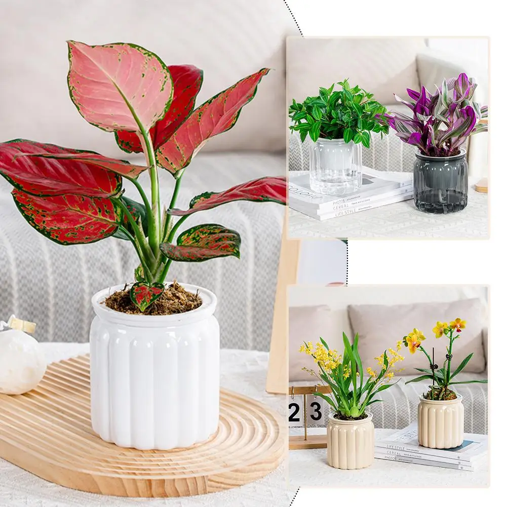 Self Absorbing Lazy Hydroponic Flowerpot Plastic Resin Green Flowerpot Orchid Plant Radish Pot Transparent Succulent Green W6Q8