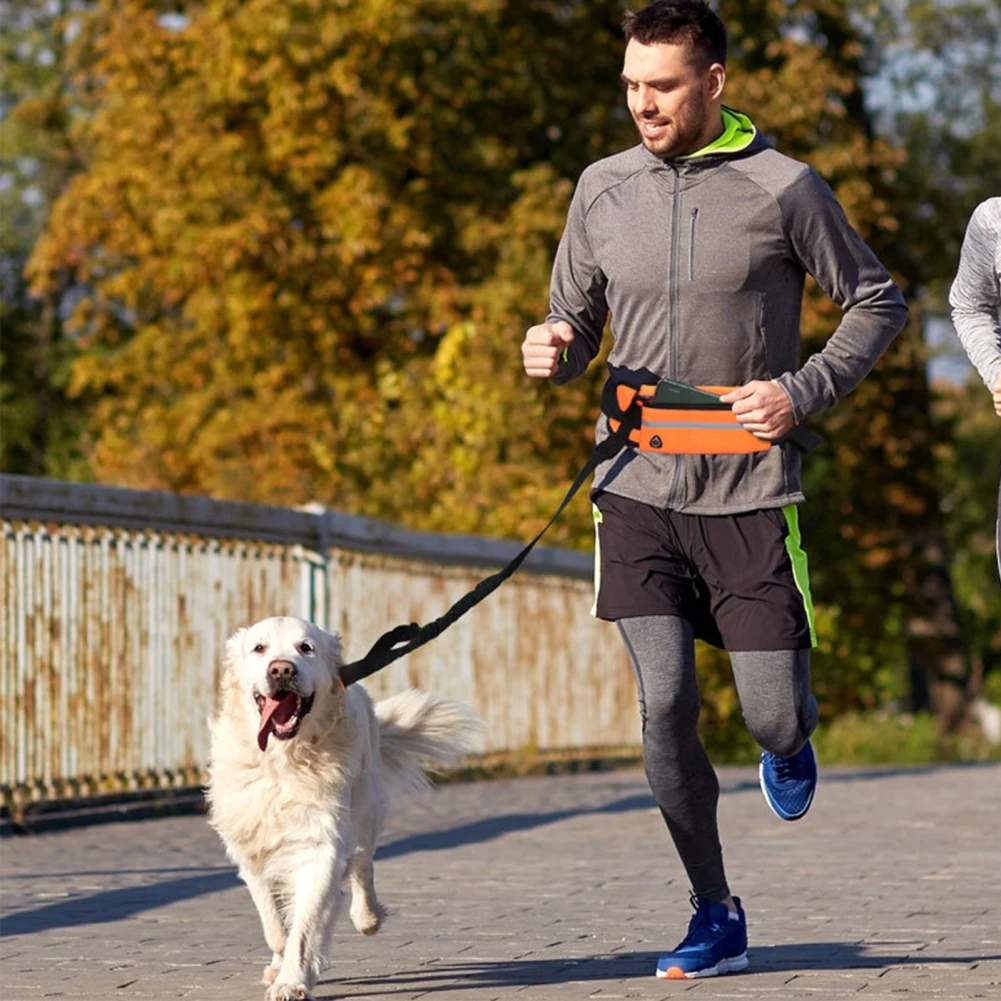 

Hands Free Dog Leash With Zipper Pouch Reflective Dog Running Leash Retractable Leash Multifunctional Waist Pack For Training
