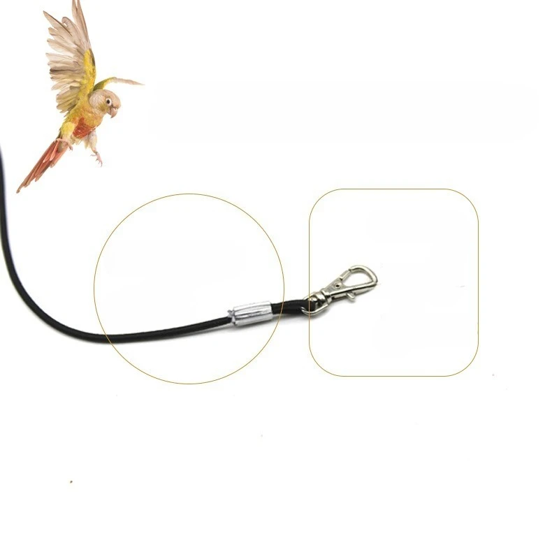 الحيوانات الأليفة الطيور التدريب في الهواء الطلق تسخير حبل الطيور القدم سلسلة الببغاء مكافحة تحلق الجر الأشرطة الطيور قدم سوار الطيور الملحقات #4