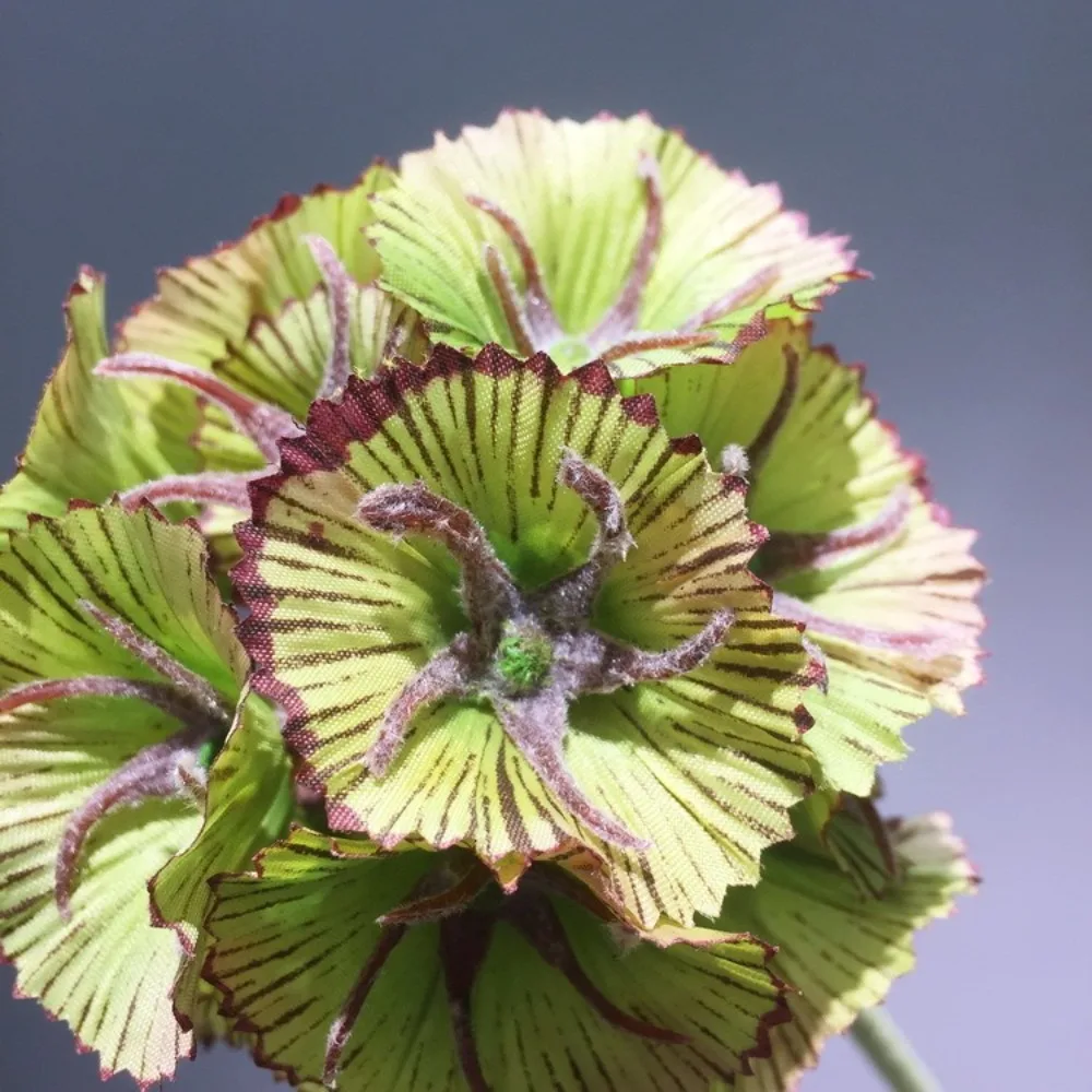 

Beautiful Artificial Scabiosa Flower Real Touch Handmade Simulation Pristimera Branch Elegant Fake Flower Outdoor Garden Decor