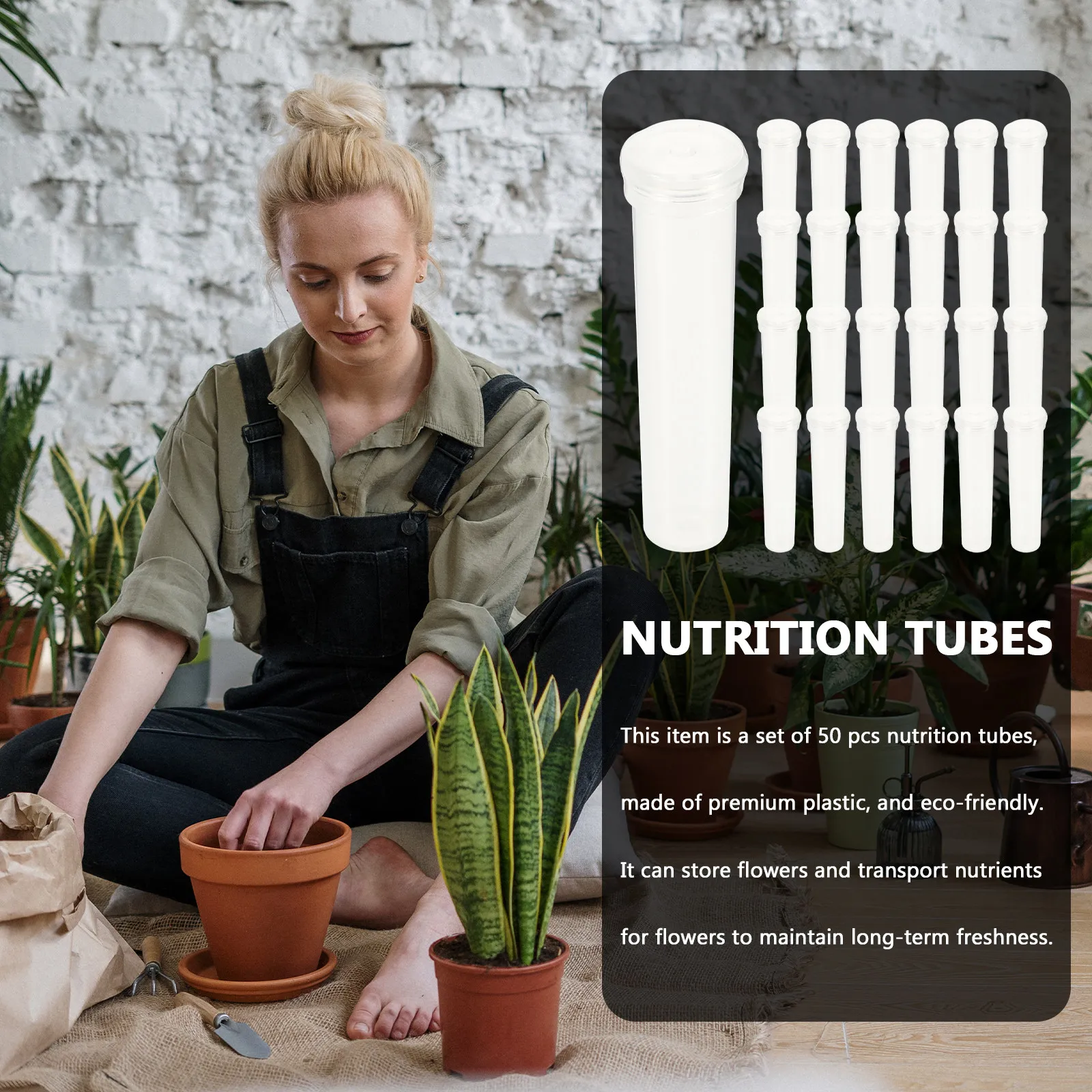 25 Stück Kunststoff-Blumenröhr – Longs Florist Supply Bewertung und Preis