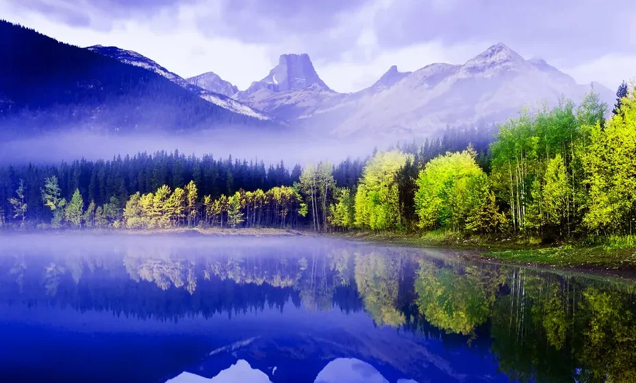 

1:24 High Speed RC Drift Car 2.4G 4WD Remote Control Mini Racing Car Competition Race Car Toy for Children