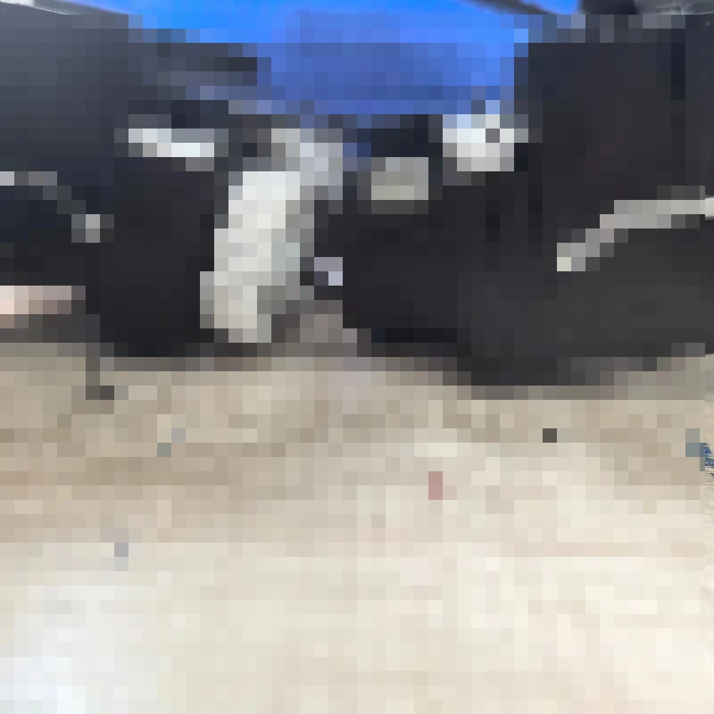 

Original Pump Ink System Capping Assy Cleaning Unit for Epson L6160 L6161 L6166 L6168 L6170 L6171 L6176 L6178 L6190 L6191 L6198