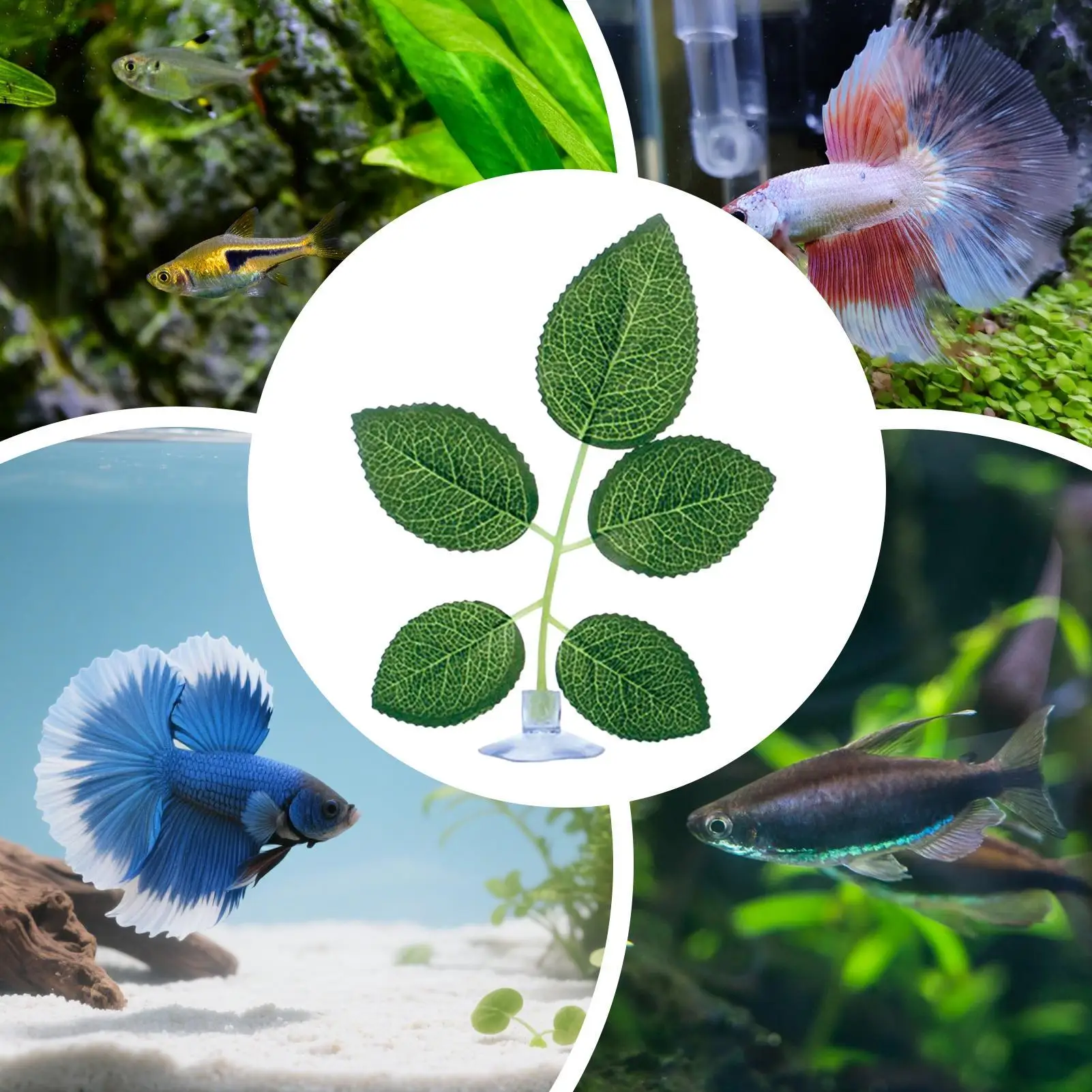 Thumbnail 4 - #12 Pet Habitat Decors List of Top Picks