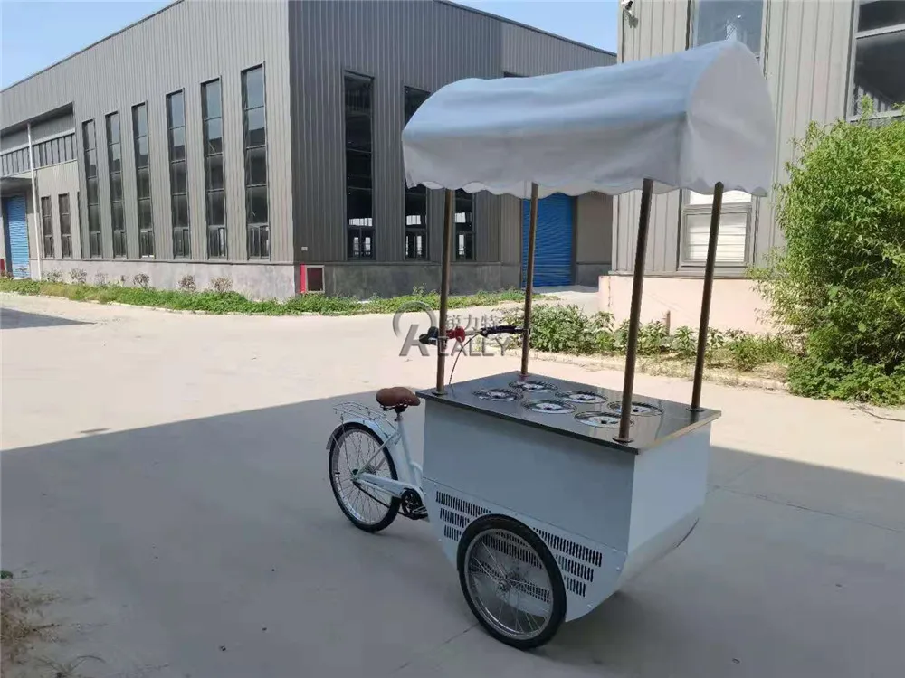 OEM Pedal Assist Freezer Bicycle Popsicle Vending Cart Commercial Cargo Tricycle 3 Wheel Electric Ice Cream Bike for Sale