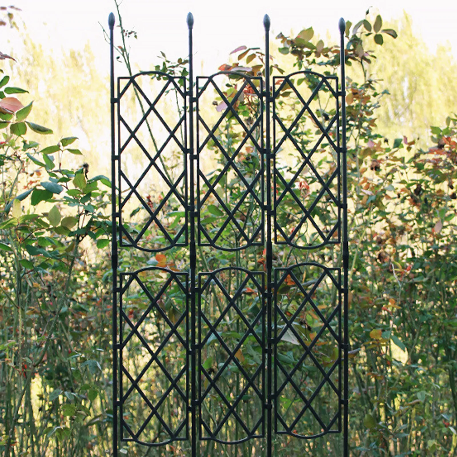 Heavy Duty Plant Vine Support Rack for Beans, Peas, Roses, Clematis – Sturdy Steel Climbing Shelf Garden Scaffold