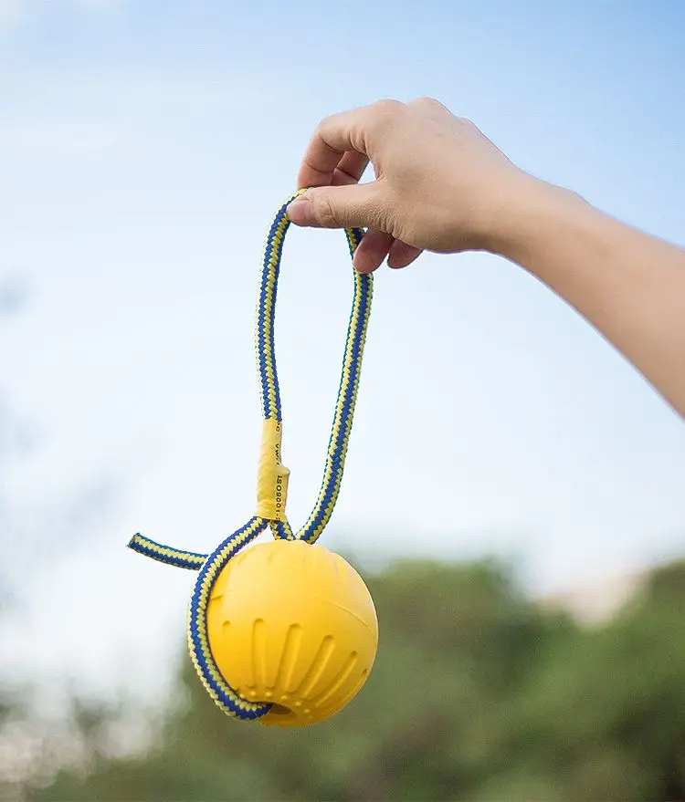 Thumbnail 4 - #49 New Puppy Chew Toys Arrivals