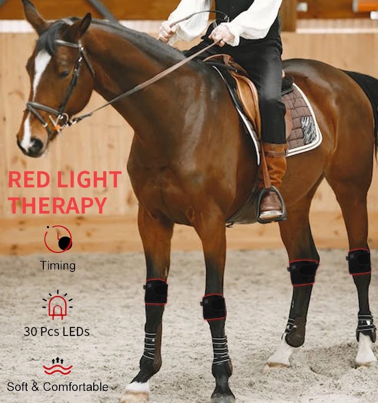 Red light therapy device Red light therapy for horse Infrared therapy for pain relief