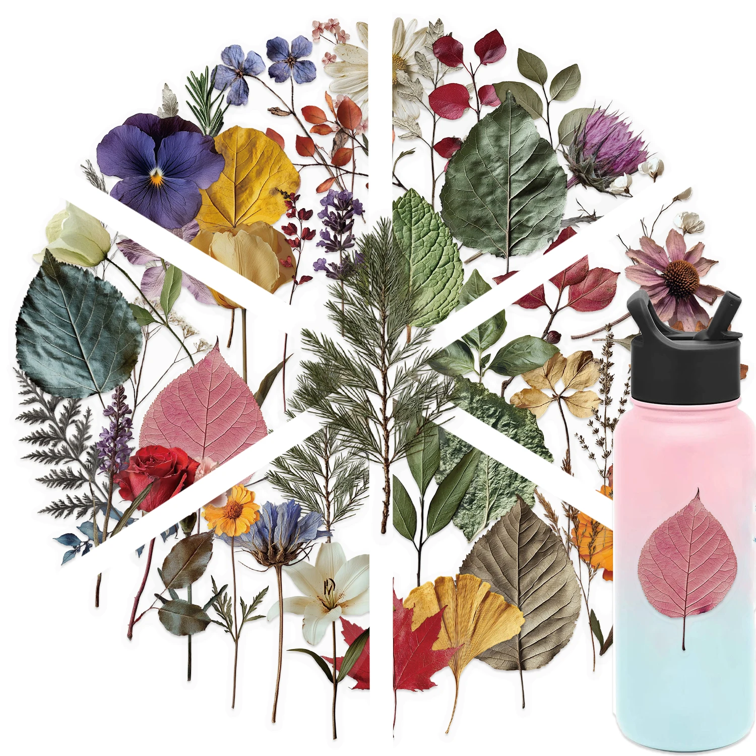 50Pcs Cute Plant Transparent Stickers Plant Specimen Decals Phone Case Notebook Skateboard Motorcycle Sticker Toy