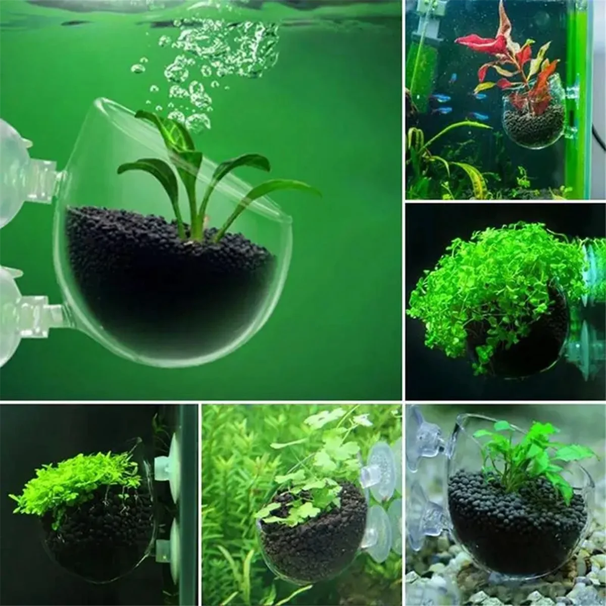 ABNP 16 pièces tasses pour plantes aquatiques, Pot de plantes aquatiques en acrylique Transparent avec aspiration, décoration d'aquarium 2 formes