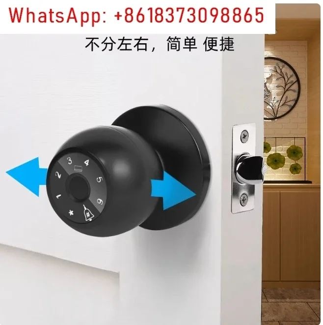 Fingerprint Soor Lock, 1 Count Smart Door Knob with APP/Keypad, Keyless Entry, Biometric Lock