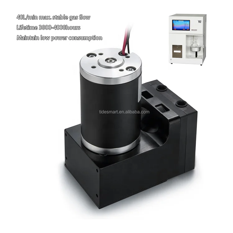 12V 24V Custom Mini Double Diaphragm Portable Air Pump Automotive Industry Corrosion Resistant Silent Oil Less High Efficiency