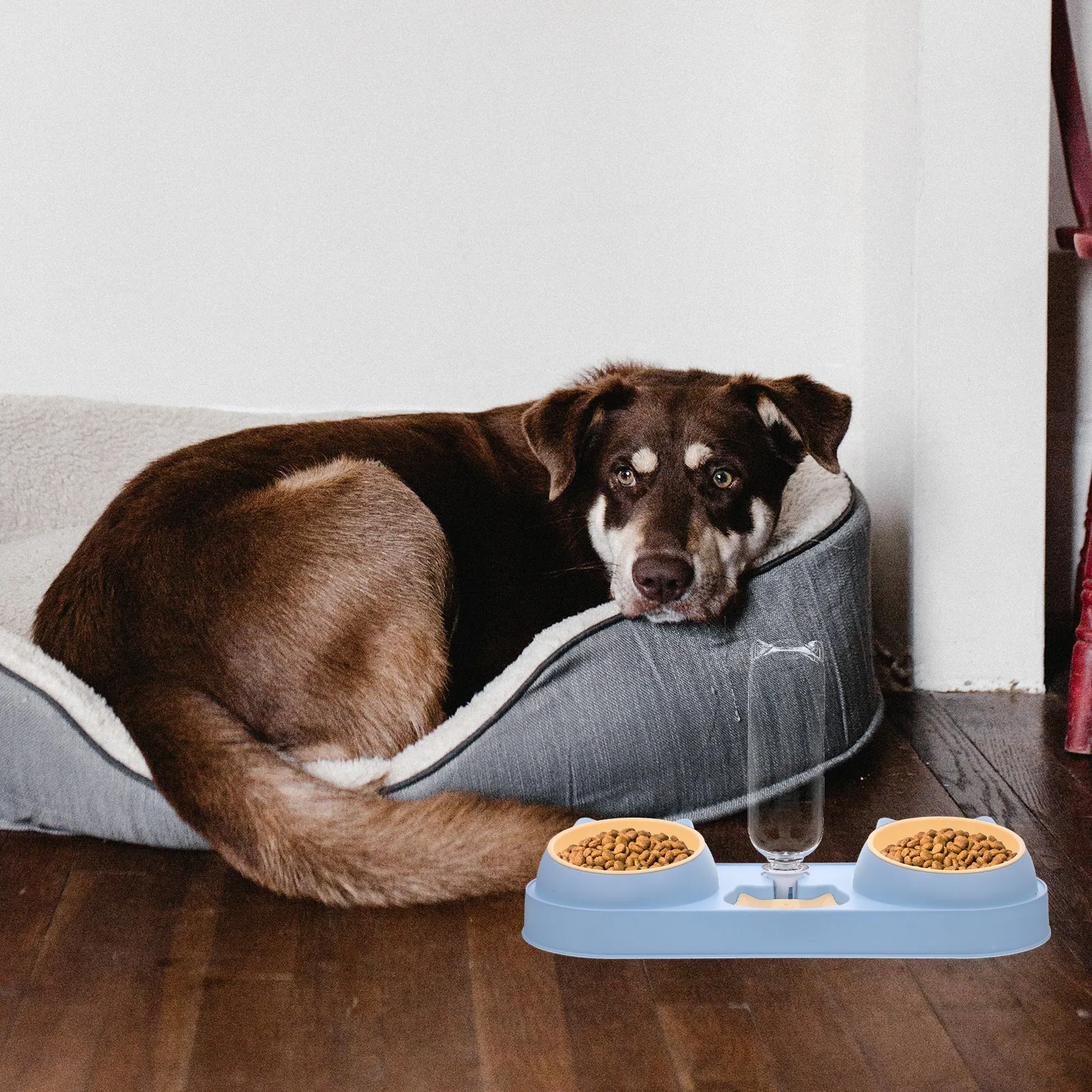 

Автоматическая кормушка для кошек и собак с двойной миской, сверхпрочная, устойчивая к давлению, контейнер для корма, гладкая безопасная миска для кормления занятых питомцев