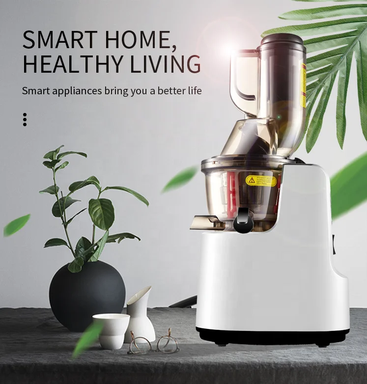 

Big Chewing Mouth Vertical High Juice Yield Slow Masticating Juicer Low Noise and Food Grade Materials