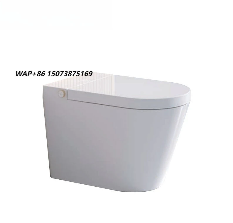 Water Closet Electric Intelligent Toilet Bowl Floor Mounted Bathroom Toilet Floor Mounted Smart Toilet Bidet for Hote