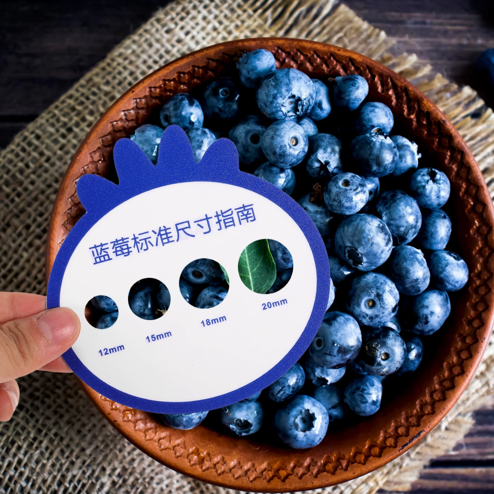

12Pcs Blueberry Measuring Card Durable Tool for Market Diameter Classification Blueberry Board Diameter Gauge