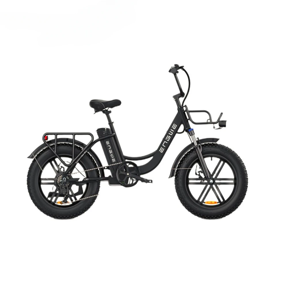 L20 EBike With 20inch Fat Tires 48V 13AH Battery 250W Motor 25km/h Speed Off-road Electric Mountain Bicycle