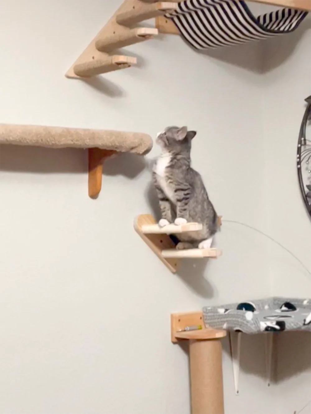 Wall Mounted Cat Tree Wooden Shelves Scratching Posts Climbing Cat tower Hammock With Solid Floating Perches Steps and Ladder