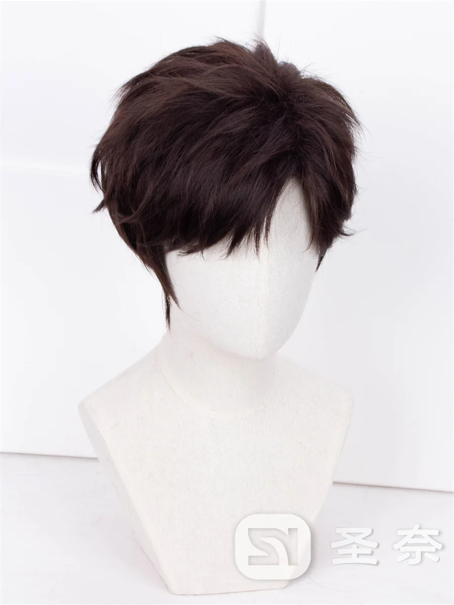 Light and Night Evan Wig Cosplay Dark Brown Short Fluffy Layered Synthetic Hair Cosplay Wig Halloween Party Wigs