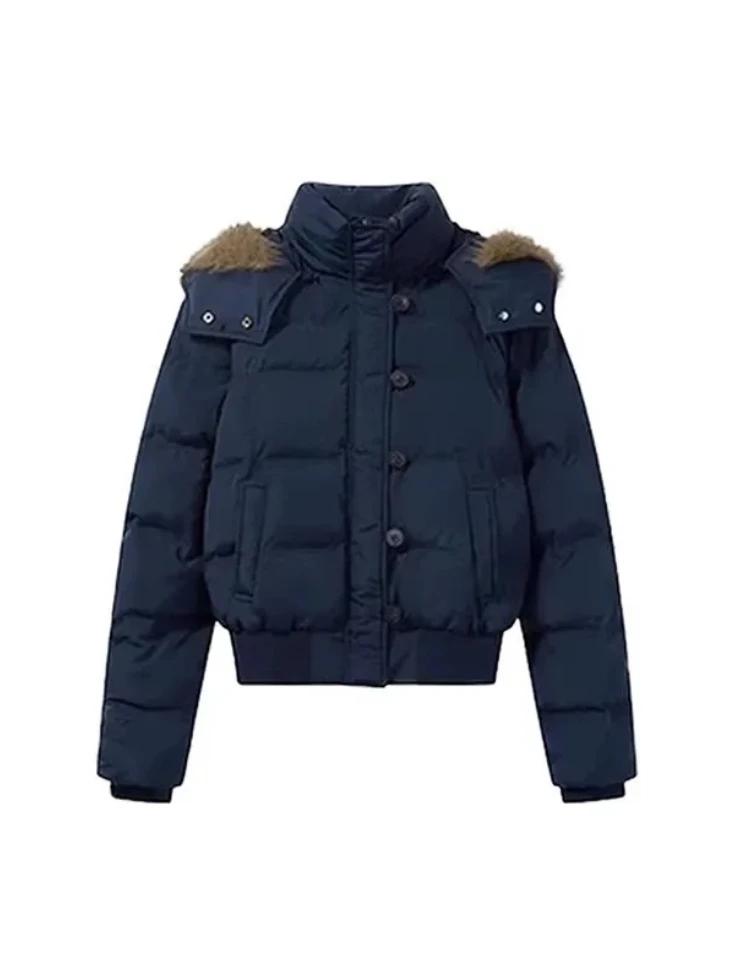 Thick Hooded Winter Jacket, Women‘s Short Single Breasted Coat, Korean 2025 New Long Sleeve Puffer, Blue Casual Chic