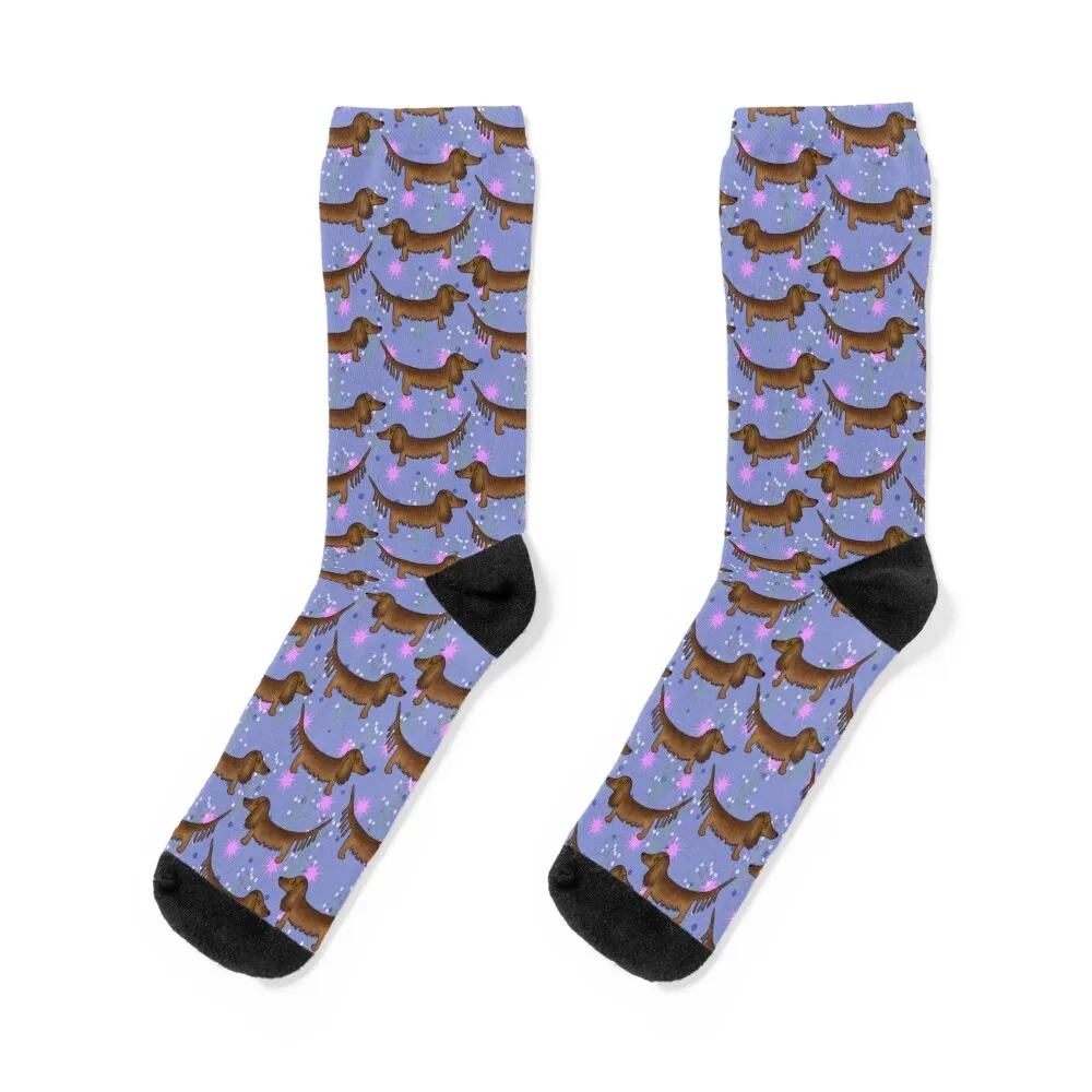

Doxie with Starbursts Socks kawaii summer Heating sock short Women Socks Men's