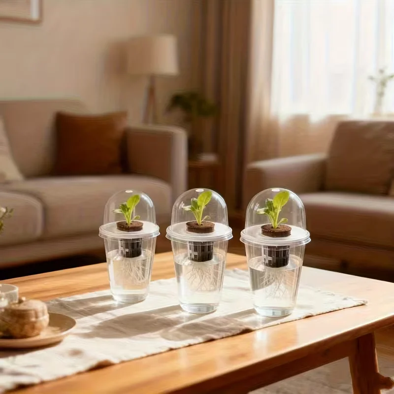 وعاء البذور المائية البلاستيك الشفاف أسطواني-كوب مائي عالي الشفافية لمراقبة نمو الجذر