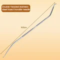 Curved shape