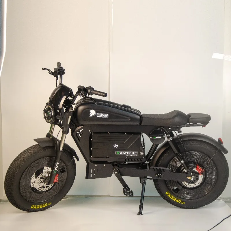 

Warrior Aluminum Alloy E-bike High Power 60v Long Range High Speed Wtih Bluetooth Speaker Electric Bike for Adults