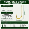 Size 2