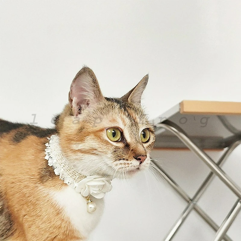 Collar tejido a mano estilo Chanel para mascotas, collar ajustable con campana y decoración de flores de perlas para perros y gatos