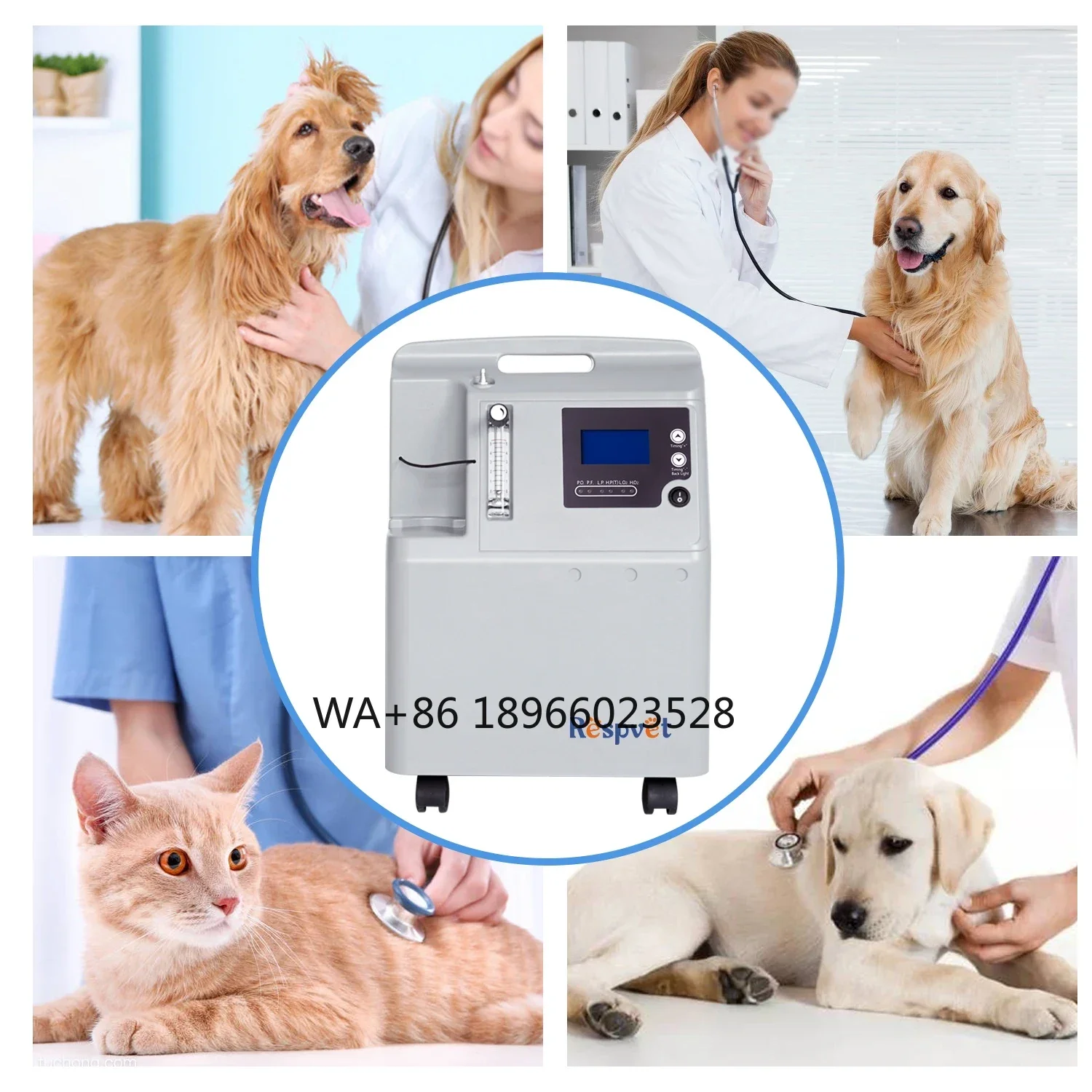 Veterinary Concentrator for Animal Surgery Vet Medical Equipment  Anes-thesia Machine PSA