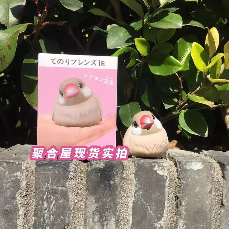 Original Genuine Simulation Cute Kawaii Little Figurine Handheld Birds Sparrow Parrot Ornaments Toys 1R Collect