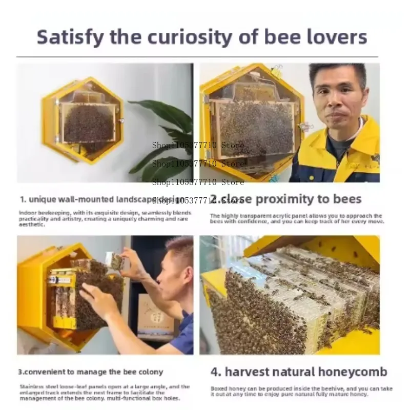 Space Saving Wall Mounted Indoor Beehive Limited Edition Household Beekeeping Equipment For Indoor Bee Farming Small Family
